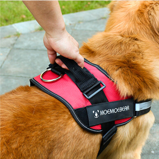 Dog Leash Mesh Adjustable Harness Braces Clothes Training Large Heavy Puppy Soft