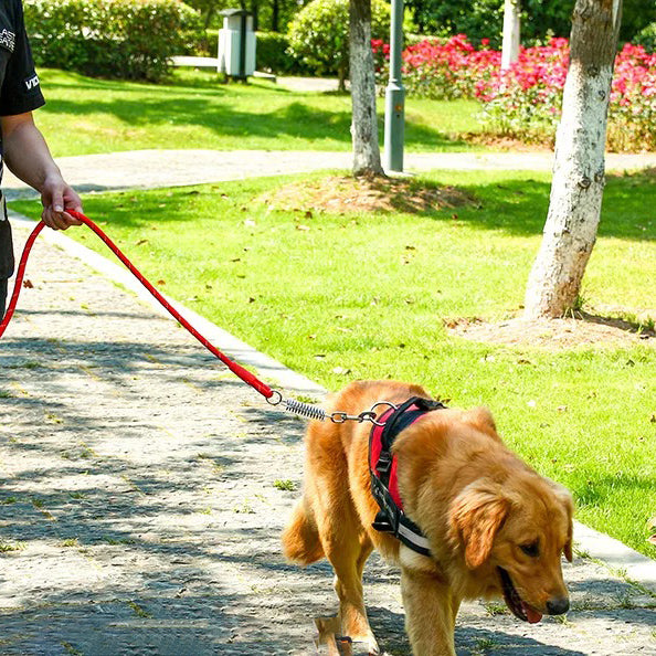 Dog Leash Mesh Adjustable Harness Braces Clothes Training Large Heavy Puppy Soft