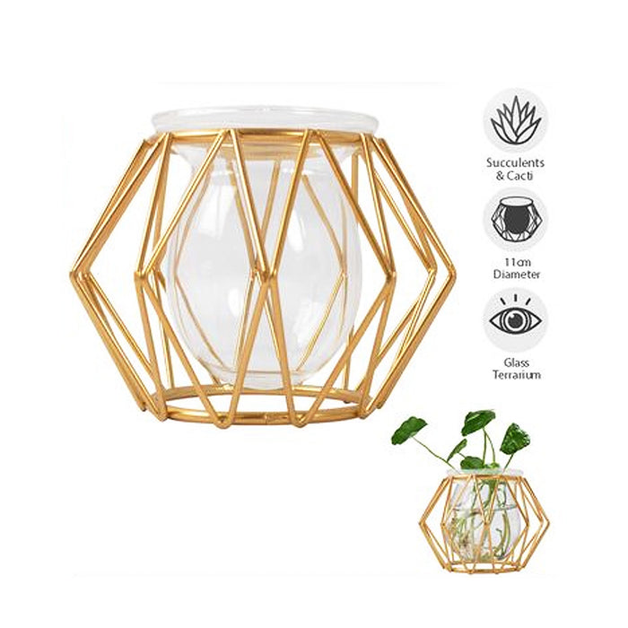 Terrarium Vase Gold Stand Glass Bulb Wire Frame Home Garden Succulents Modern
