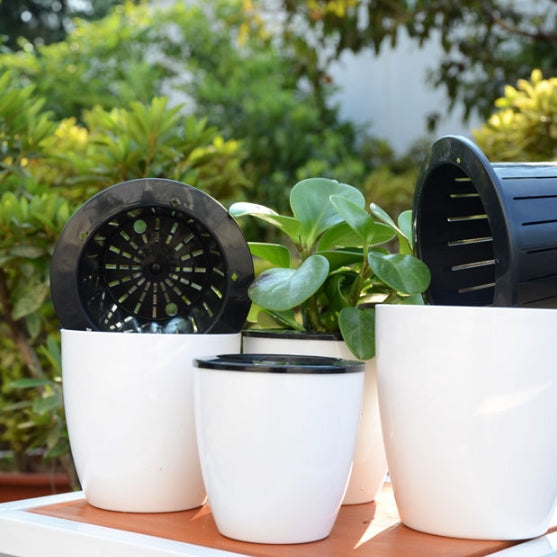 1/6x Landen Self Watering Plant Pots White Planters Bulk Plastic Large Saucer Tr