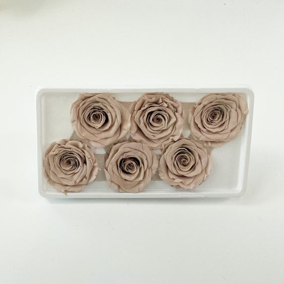 Lineguard Dried Preserved Flower Rose Multiple Natural Pressed Flowers Colorful